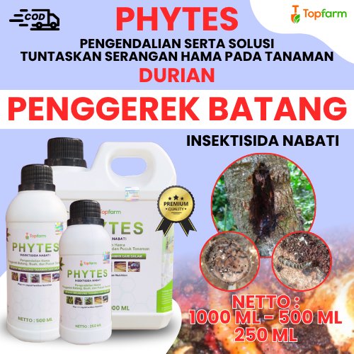 NEW PORODUK OBAT PENGENDALI HAMA PENGGEREK BATANG POHON DURIAN / INSEKTISIDA PENGGEREK BATANG / OBAT
