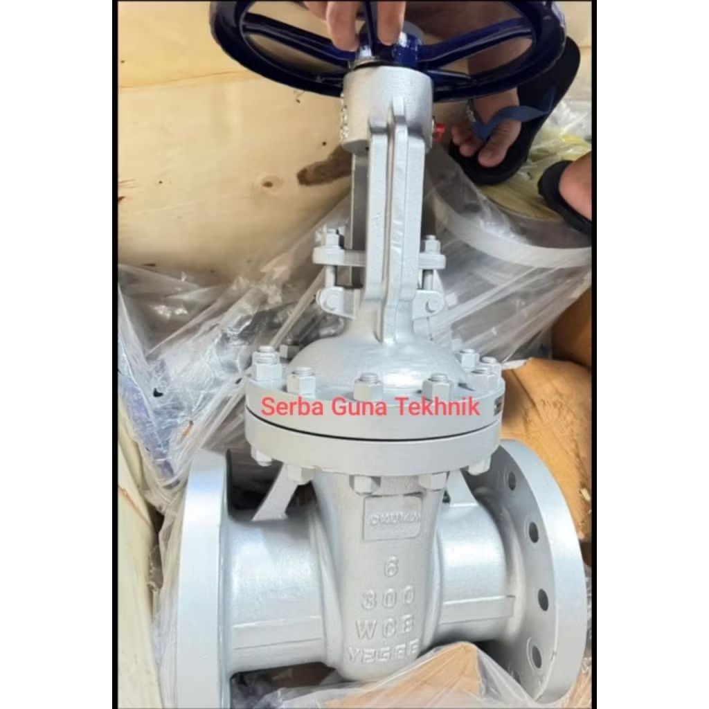 Gate Valve 10" inch DN 250 Ansi 300 OKUMA Carbon Steel WCB