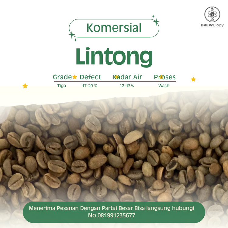 green Bean  biji kopi Arabika Lintong - Komersial
