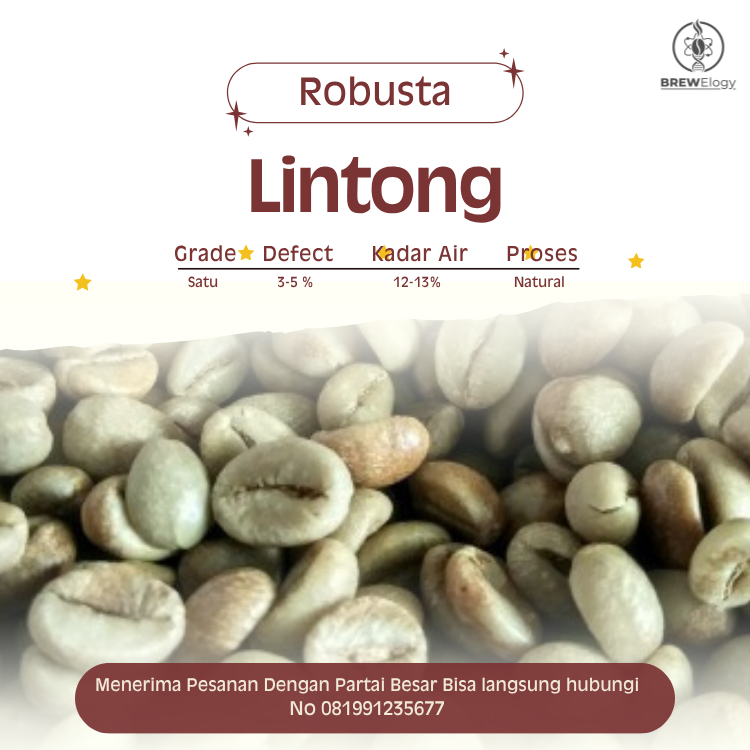 green Bean  biji kopi Robusta Lintong - 1kg