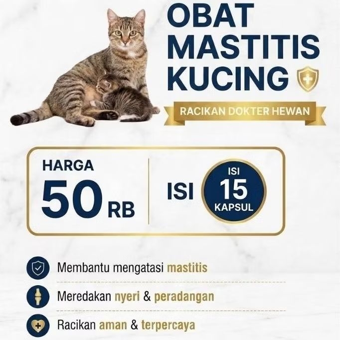 OBAT INFEKSI MASTITIS/ PD bengkak panas kucing