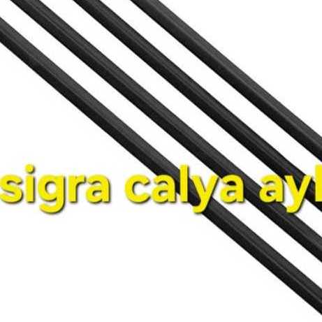 pelipit sigra calya ayla 1 set