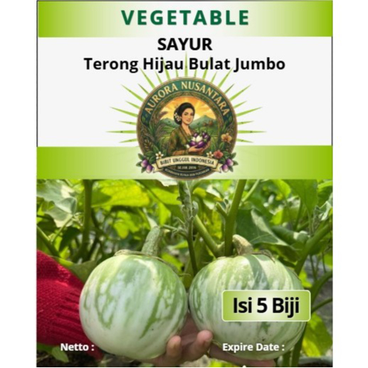Bibit Unggul Indonesia Terong Hijau Bulat Jumbo | Biji Benih Terong Hijau Bulat Jumbo | Terong Hijau