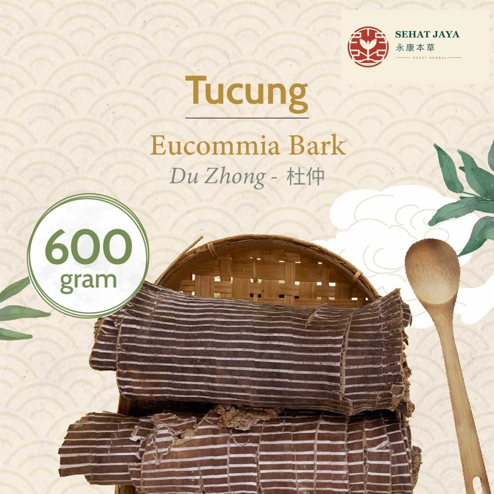 Du Zhong 600 gram  / Eucommia Bark / Tucung