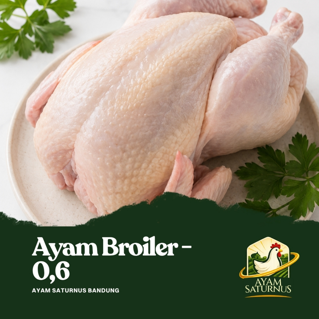 Ayam Broiler 600 - 700GR | Ayam Saturnus Bandung