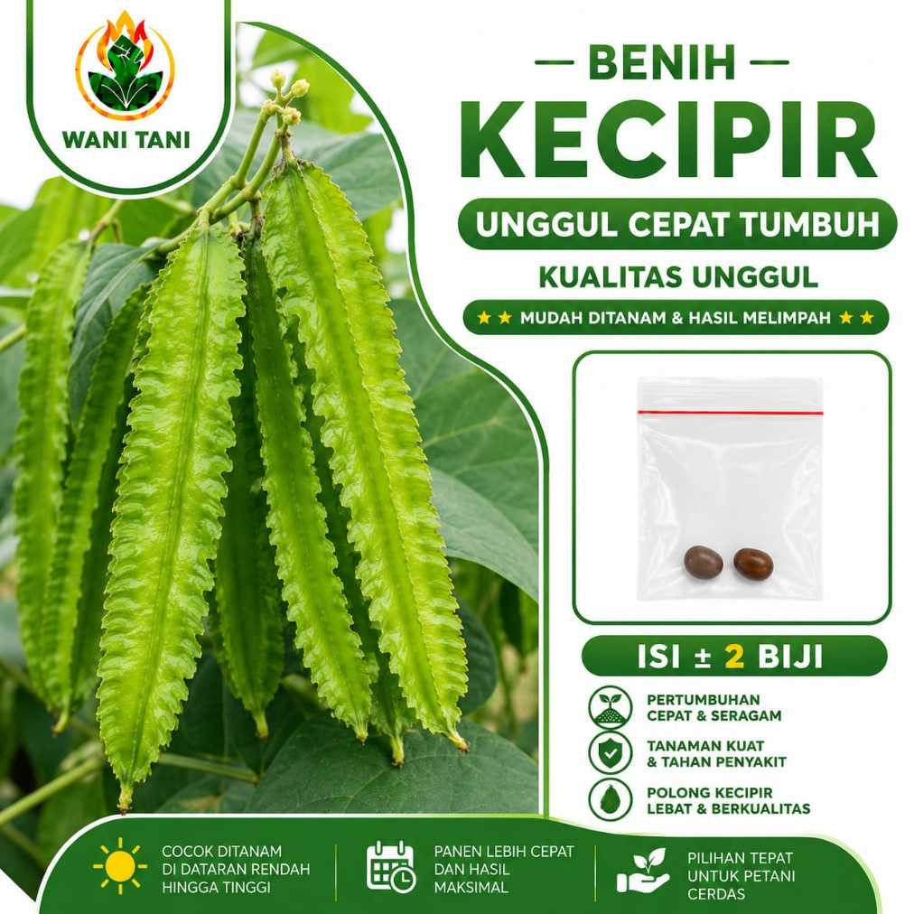 Benih Kecipir Super Unggul Bibit Kecipir Benih Sayuran Jumbo Tanaman Kecipir