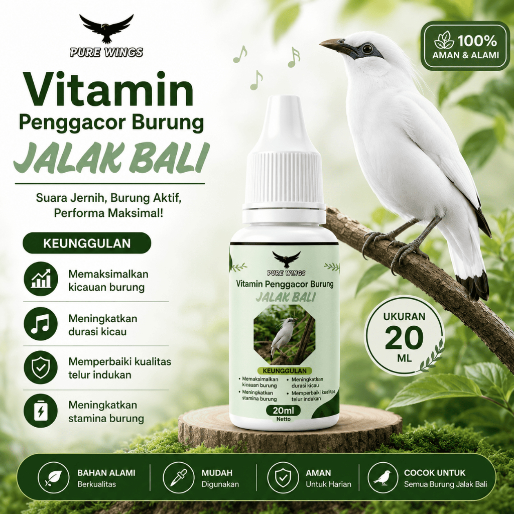 Vitamin penggacor Burung JALAK BALI, Obat macet bunyi biar gacor, penambah imun burung,untuk lomba a