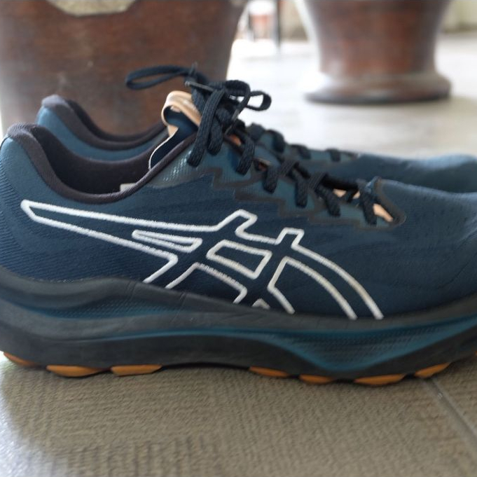 Asics GT 2000-14 TR Running Trail Shoes