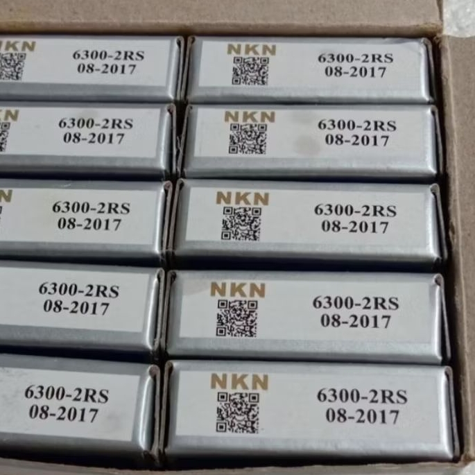 Bearing 6300 2RS NKN