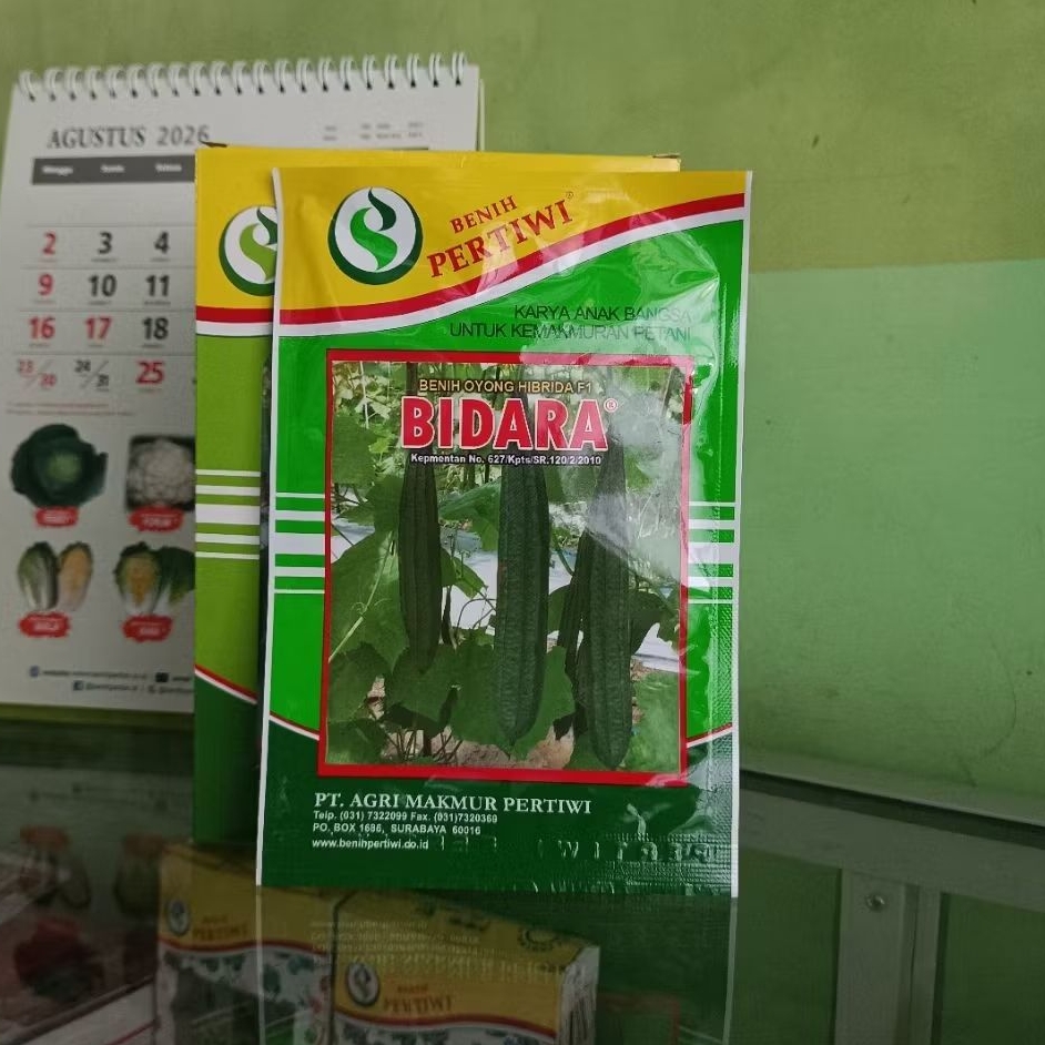 Benih Oyong Gambas Bidara F1 - 10 Gram Cap Benih Pertiwi
