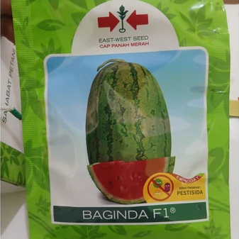 bibit semanka baginda f1 380 butir