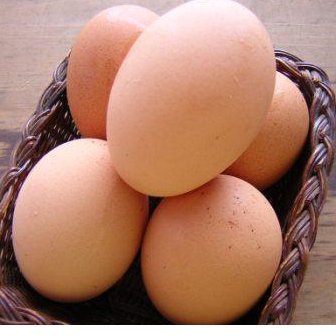 INSTAN 5 butir telor ayam telor ayam dalam negeri telor egg