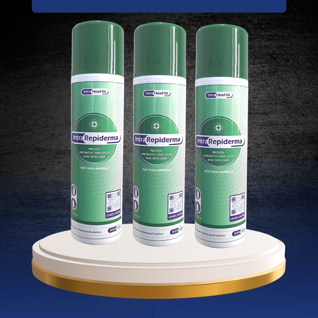INTRA REPIDERMA SPRAY 250 ML - Untuk Luka Kuku Dan Permasalahan Kulit, PMK Like LIMOXIN SPRAY.