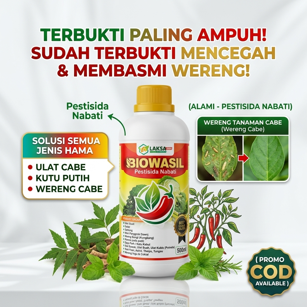 (PROMO COD) Obat Hama Wereng Cabe Paling Ampuh Sudah terbukti mampu untuk mencegah dan membasmi were