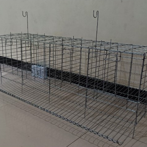 Kandang Ayam Petelur galvanis 120/4H PREMIUM GRADE A
