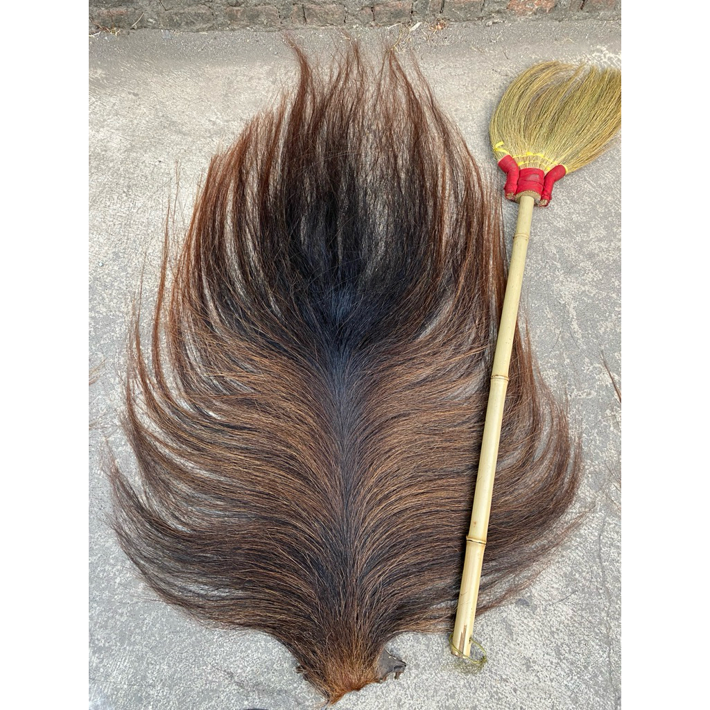 Rambut kuda, Ekor dan suri kuda
