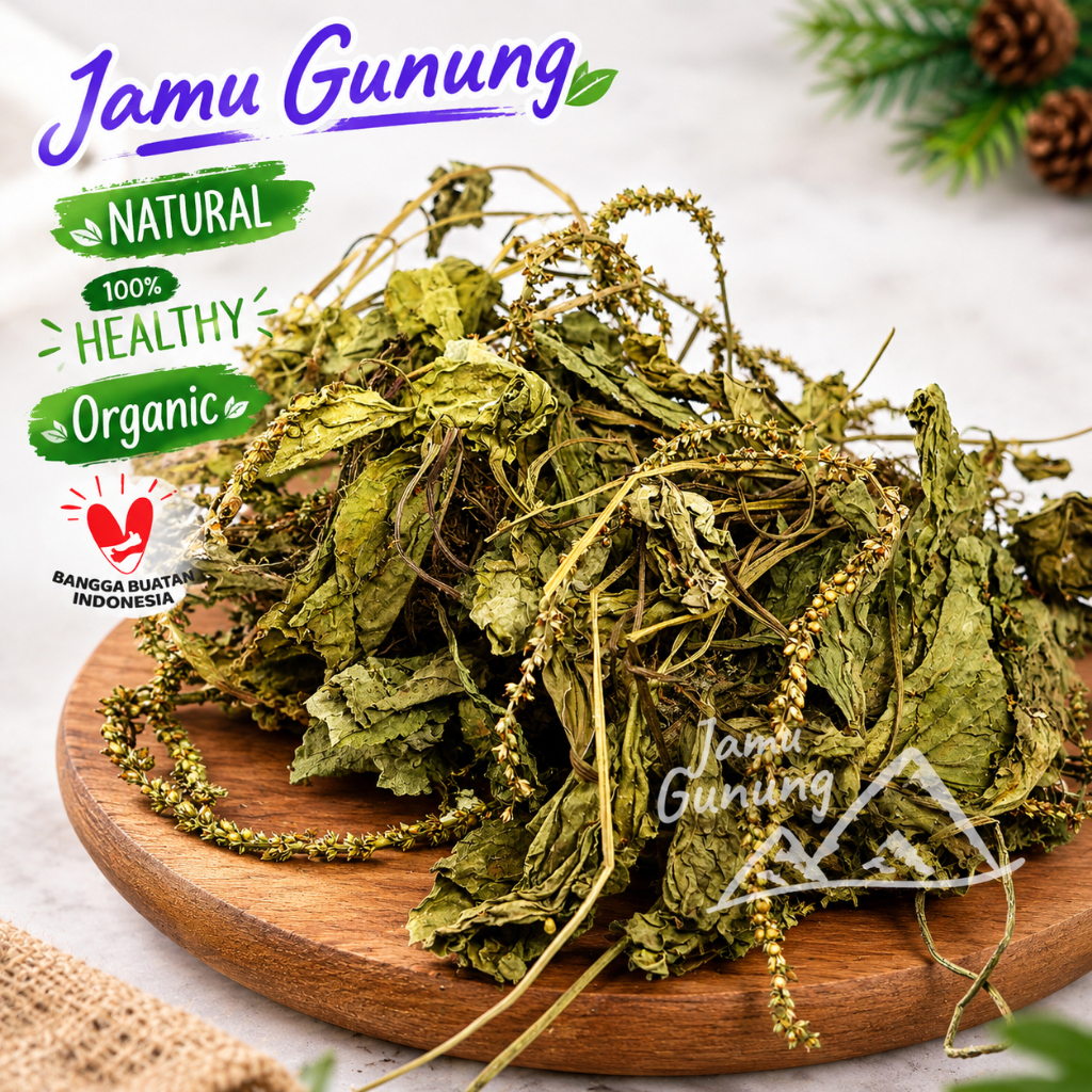 Daun Sendok Kering 500gr Sendokan Asli