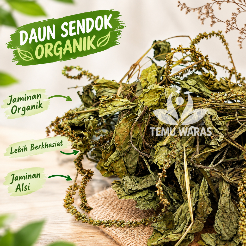 Daun Sendok Kering 250gr Sendokan Organik