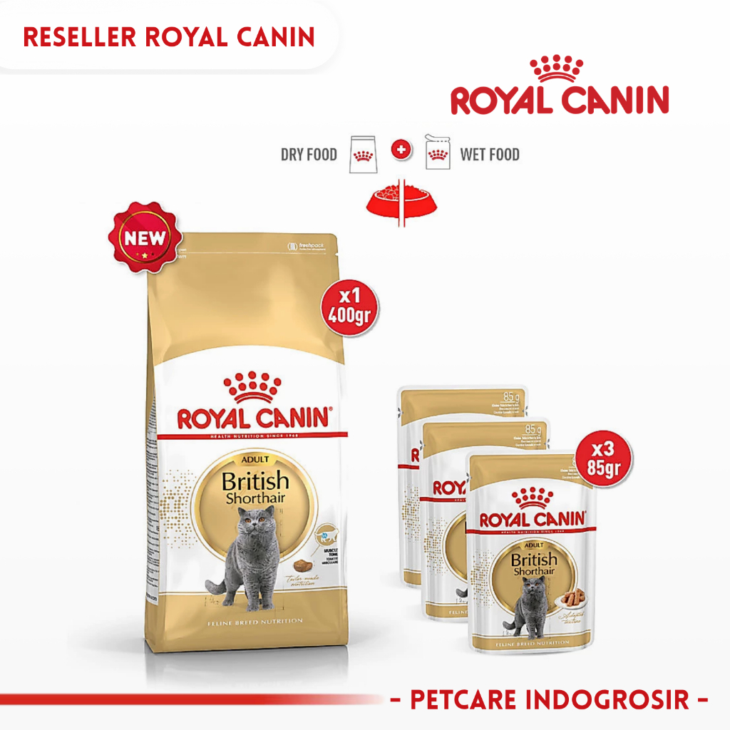 [Mix Feeding Bundle] Royal Canin - British Shorthair Adult Dry 400Gr + Wet 85grx3 , Makanan Kucing D