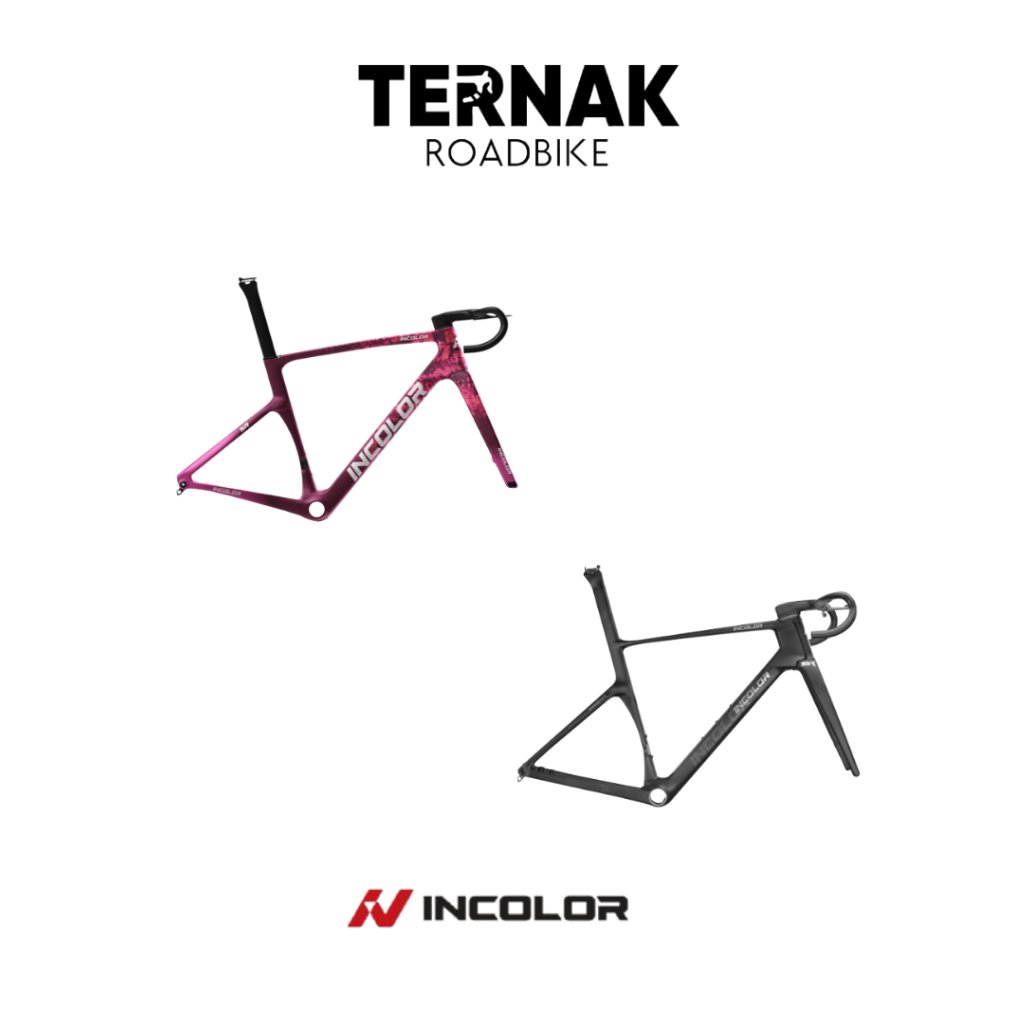 Frameset Roadbike INCOLOR SR/SR+ Colorway