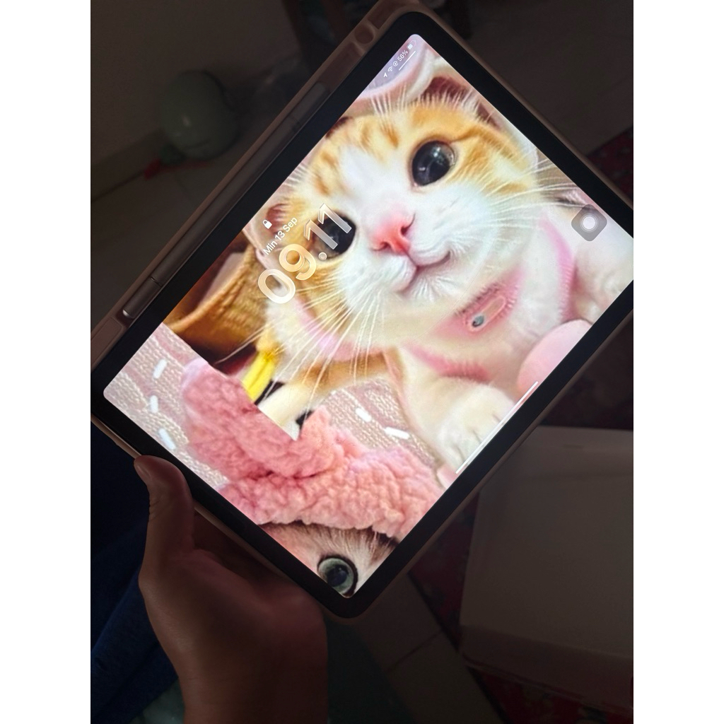 iPad Air 5 m1 chip (cpo) Pemakaian pribadi