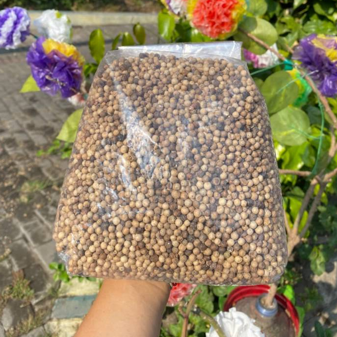 Merica Butir Asli 1 kg