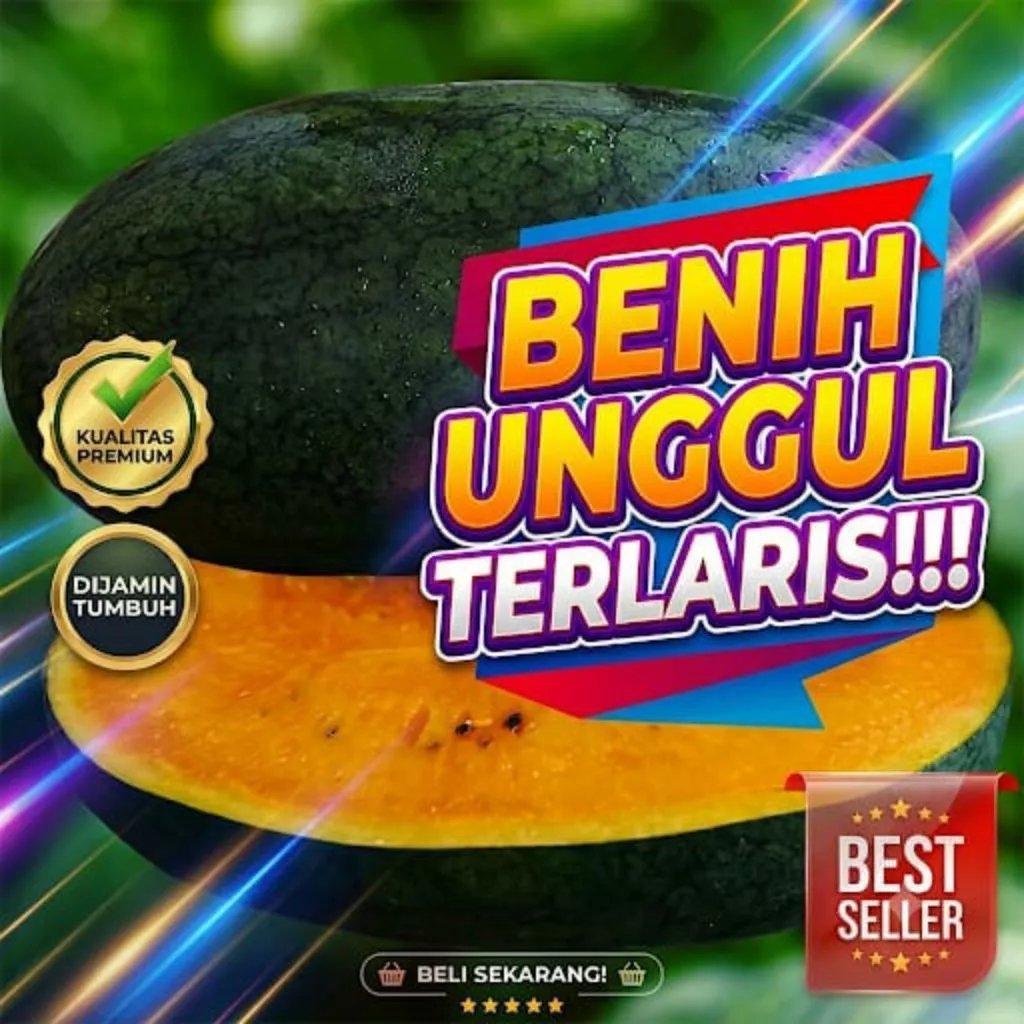 20 Biji Benih Semangka Kuning Manis- 20 pcs Semangka Kuning tanpa biji