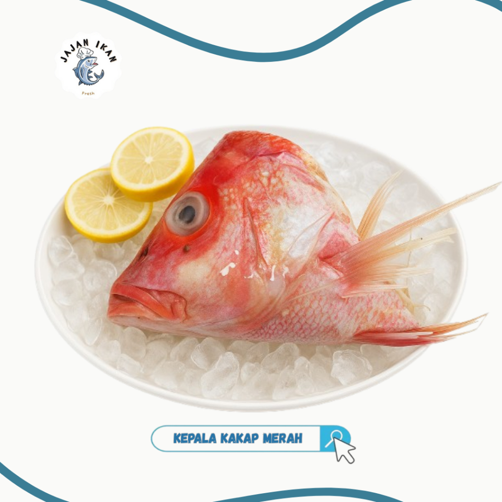 

Kepala kakap merah premium beku 1kg 2-3 kepala instan