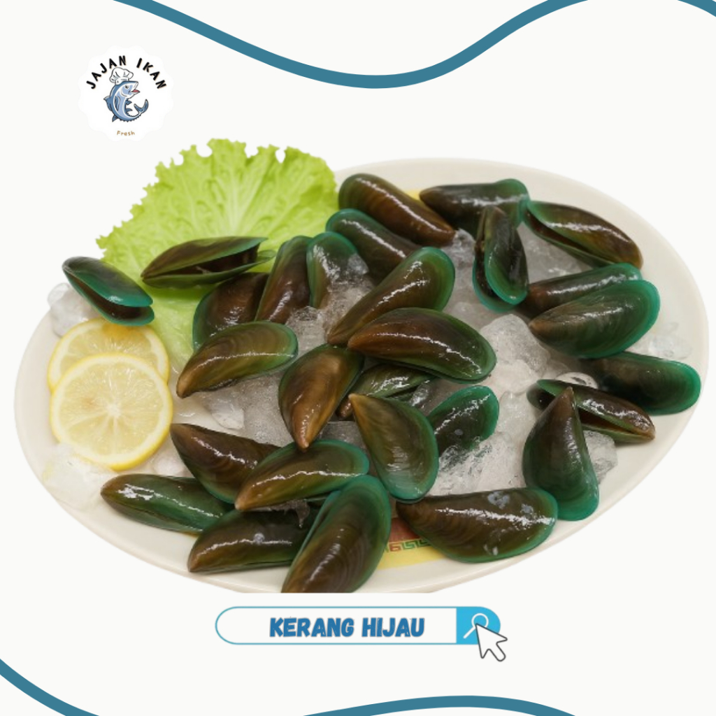 

Kerang Hijau [JAJAN IKAN] Kerang Hiaju Segar Frozen 1kg