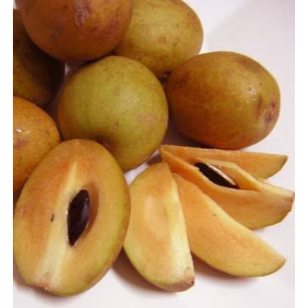 

Buah sawo siap matang manis (sawo simadu) dijamin manis