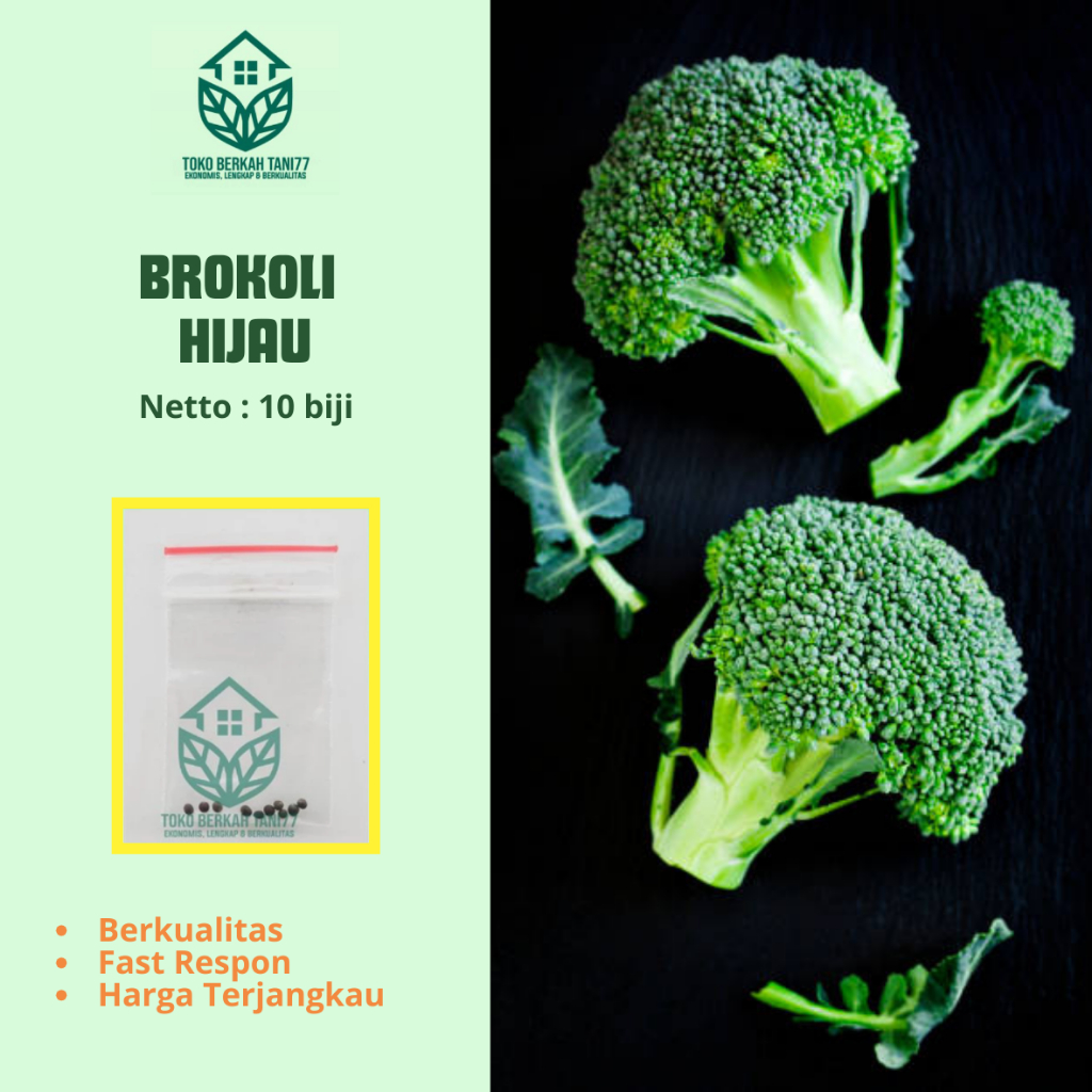 Bibit Brokoli Hijau Benih Bibit Brokoli Hijau Super Hibrida Benih Sayuran Berkualitas