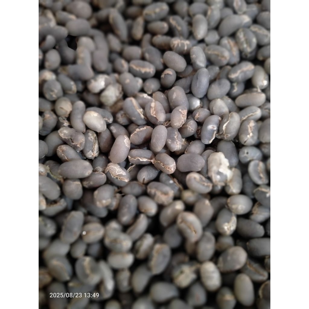 

Green Been pearl/Pearbery kopi Lanang asli Gayo berkualitas super