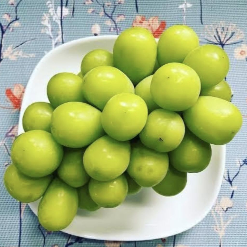 

BUAH ANGGUR HIJAU MUSCAT 1 KG / ANGGUR SHINE MUSCAT PREMIUM / ANGGUR MUSCAT / BUAH ANGGUR HIJAU MANIS / ANGGUR TANPA BIJI / BUAH ANGGUR / BUAH ANGGUR HIJAU INSTANT & SAMDAY