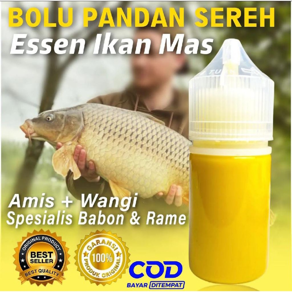 essen ikan mas aroma bolu pandan sereh