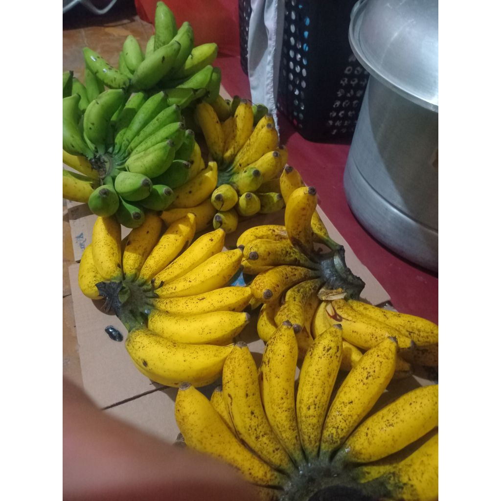 

pisang raja sreh satu sisir20000