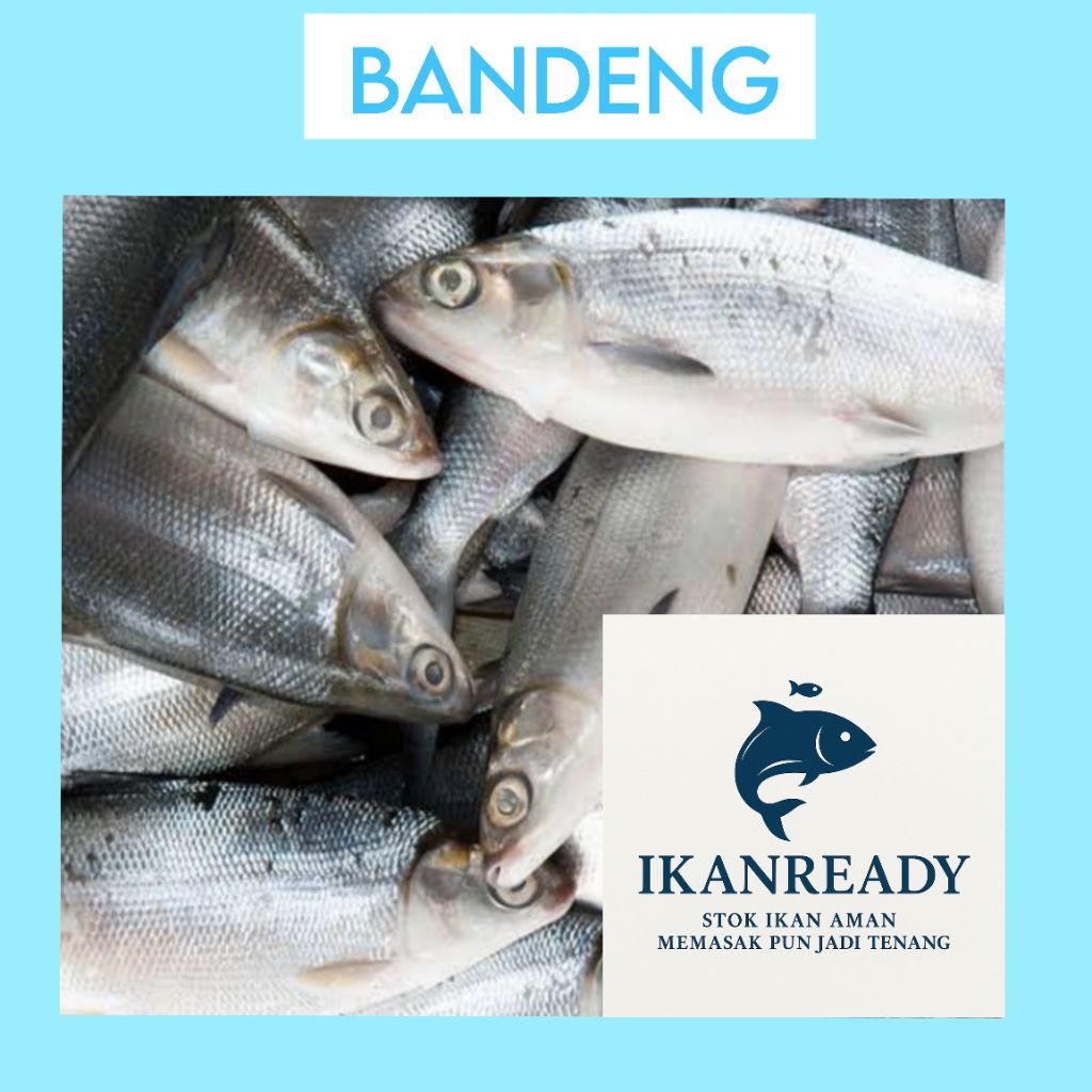 

Ikan Bandeng Segar 1Kg - Siap Masak - Bersih & Fresh Langsung dari Tambak | ikanready