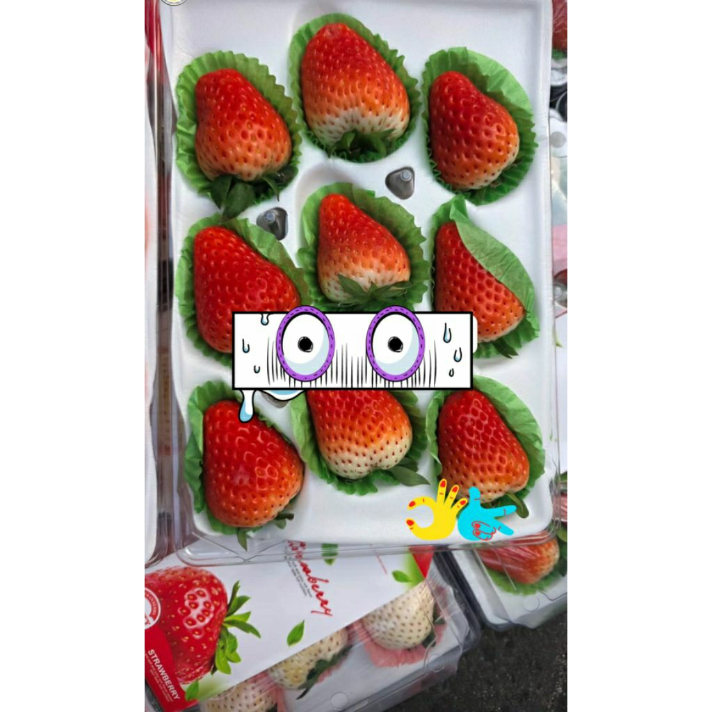 

strawberry red/white korea pack