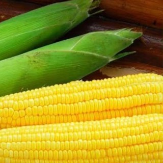 

Jagung Manis Legit 1 Kg Free Ongkir