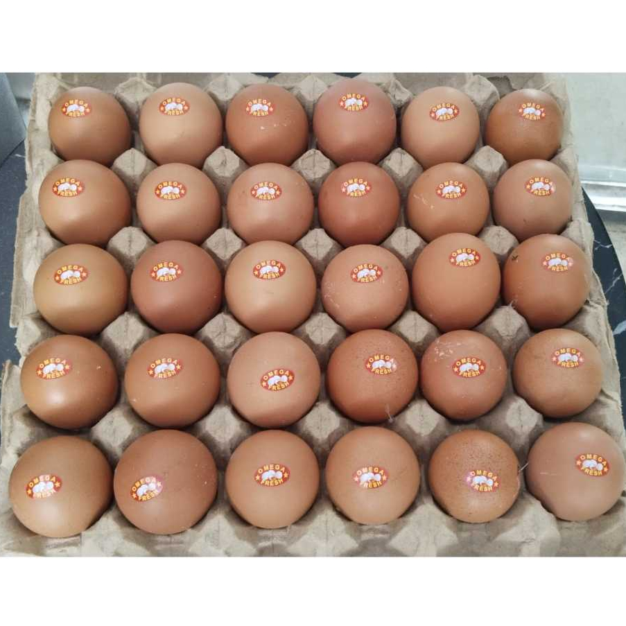 

TELUR OMEGA 3 (15KG) ISI 15-16 BUTIR