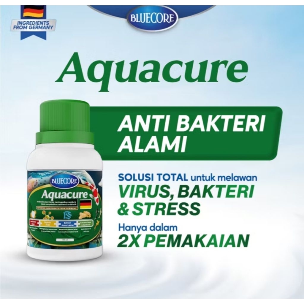 BlueCore AquaCure Antibiotik Alami Ikan untuk menyembuhkan bakteri dan Virus, Sebagai obat ikan, oba