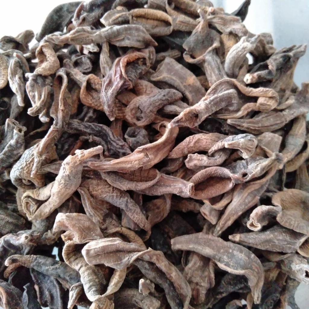 Lintah Laut Kering Makanan Seafood - Makanan Laut 100gr