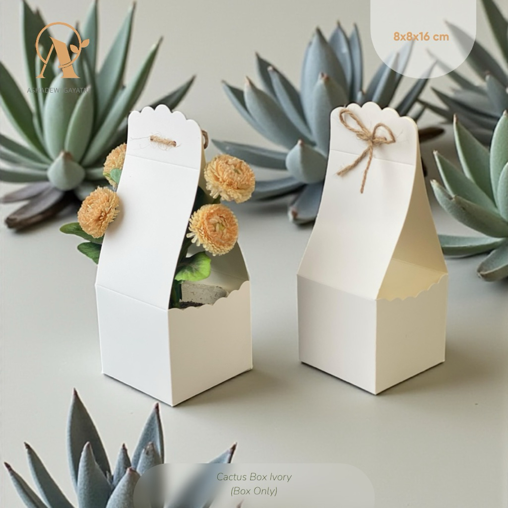 

Ashadewi Gayatri - Box Cactus / Souvernir Tanaman / Souvernir Kaktus / Cactus / Sukulen / Tanaman (8x8x16cm) IVORY