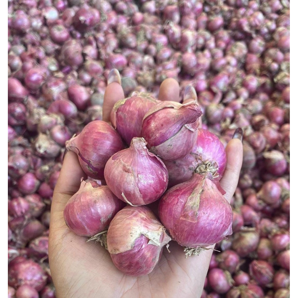 

Bawang merah 1 kg