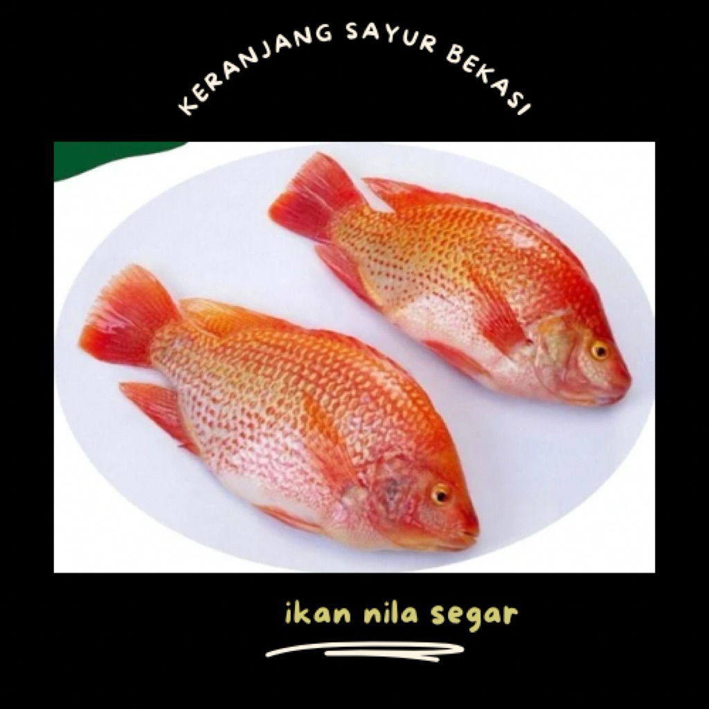 

ikan nila segar / keranjang sayur bekasi