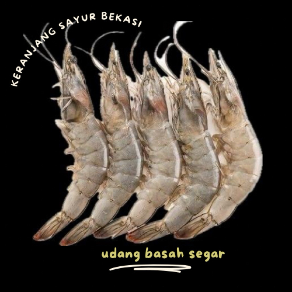 

udang basah segar / keranjang sayur bekasi