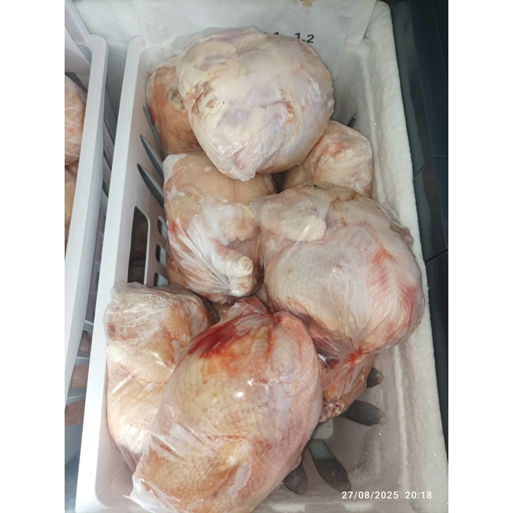 

AYAM KARKAS FROZEN 1,1 KG - 1,2 KG