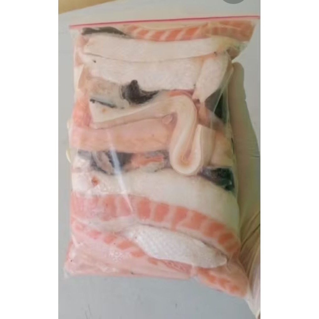 

Salmon Tetelan ikan Salmon fresh 500 gram