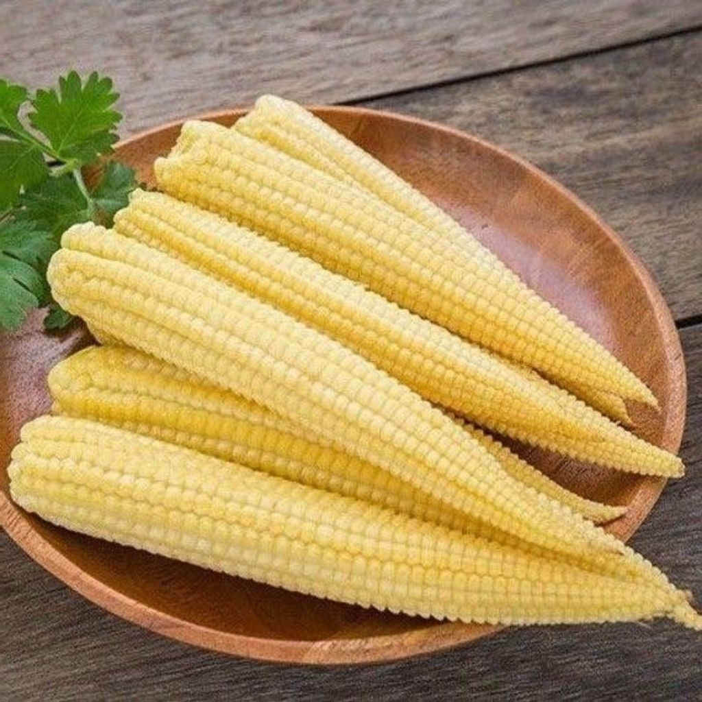 

Sayur Baby Corn potong kemasan VAKUM siap masak Murah dan Praktis