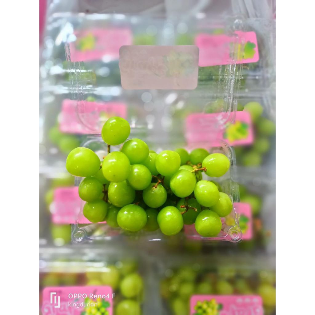 

Shine Muscat Anggur 500gr