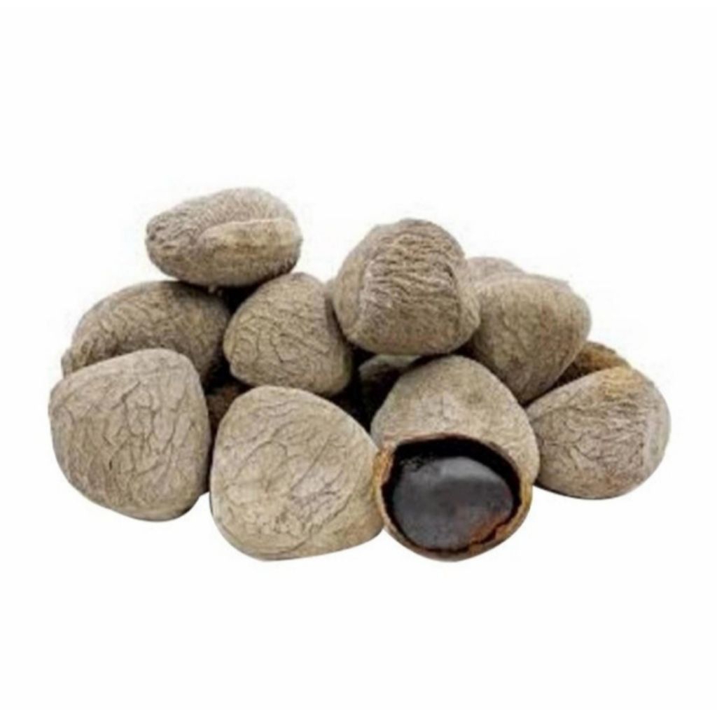 

Biji Kluwek utuh Bumbu Masak Rawon Kluwak Rempah